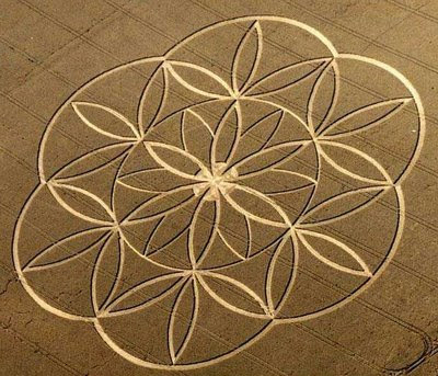 flordavida-cropcircle,1