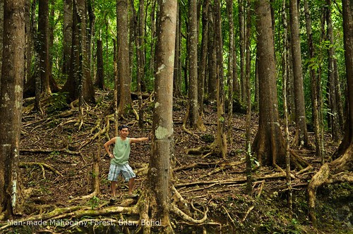2010-01-30 Bohol Weekend Day 2 LR-35