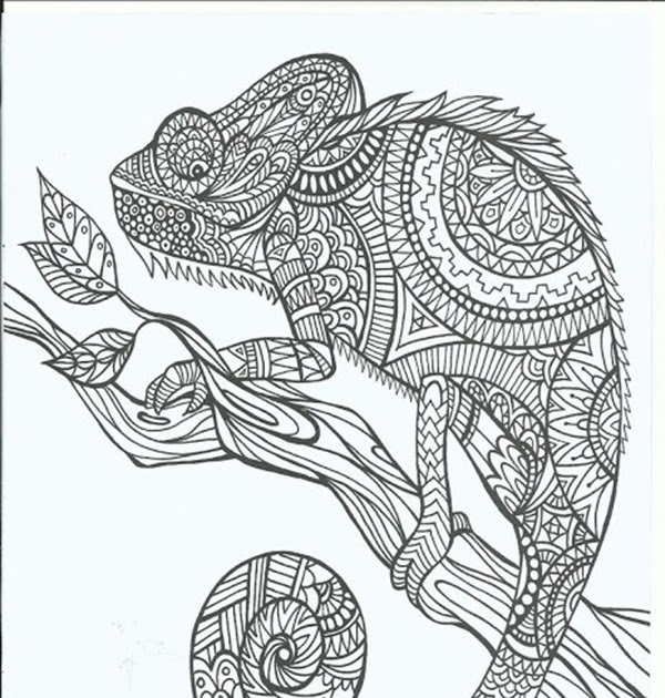 Free Printable Coloring Pages for Adults 12 More Designs - Simple