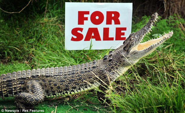 Jugular, paznicul ideal crocodil