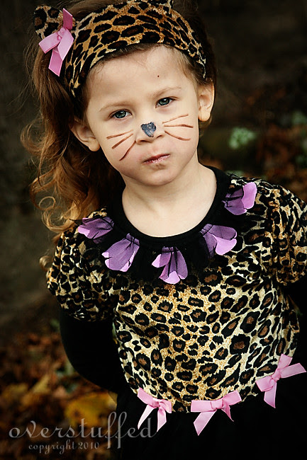 Halloween Cat