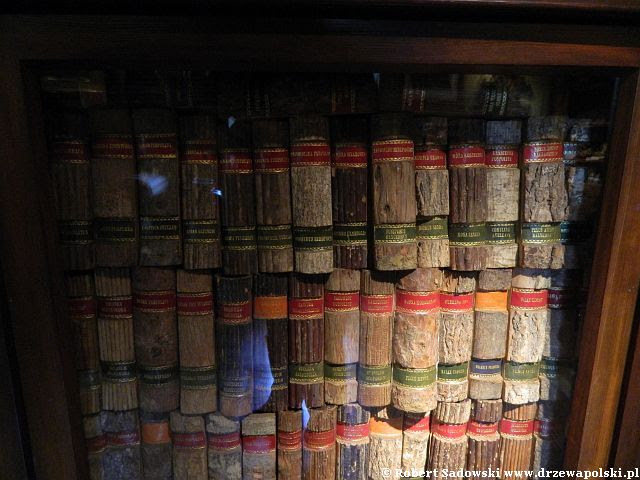 Bibliotek ksiąg drzewnych Bibliotek ksiąg drzewnych