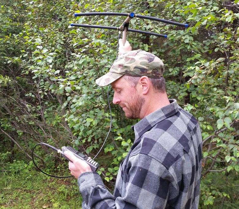 Gabe Spence, of the WSU Large Carnivore Lab, listens for the signal from radio collars on the Profanity Peak wolf pack. (Robert Wielgus/Washington State University)