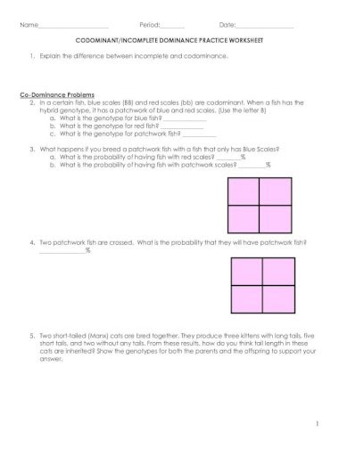 Punnett Square Incomplete Dominance Worksheet Answer Key - Incomplete
