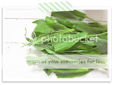 http://i402.photobucket.com/albums/pp103/Sushiina/cityglam/spargelsuppe3_zps37eee2ed.jpg