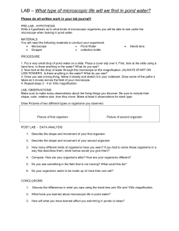 Pond Water Lab Worksheet - Nidecmege