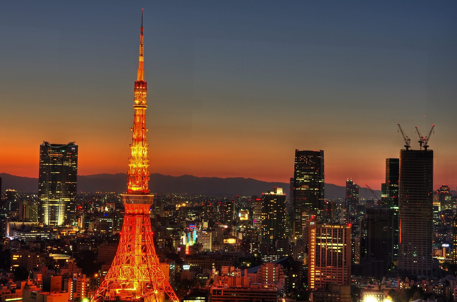 すべての美しい花の画像 トップ100高 画質 東京 夜景 壁紙