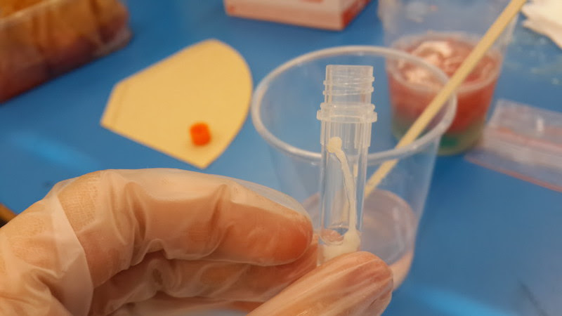 DNA Extraction from Strawberries