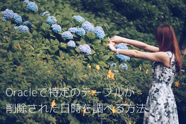 テーブル アクセス日時 確認 Oracle