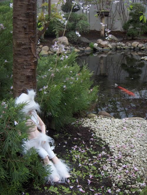 Japanese Garden