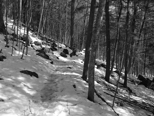 Faulkner Trail