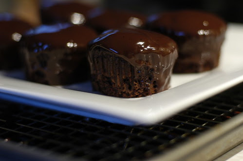 chocolate cupcakes with coffee ganache II