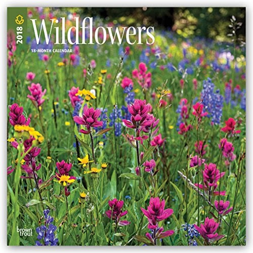 Download Wildflowers 2018 12 x 12 Inch Monthly Square Wall