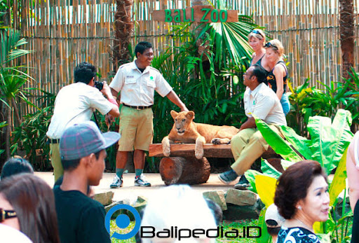 Harga Tiket Masuk Medan Zoo 2021 / Harga Tiket Masuk Kebun Binatang