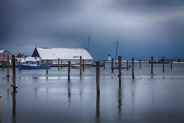 Edgartown News, Sara Piazza Photography, Edgartown Photographer, Martha's Vineyard Photographer, Martha's Vineyard Family and Wedding Photographer, blizzard 2015