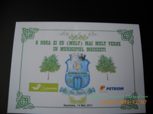 DSCN5196