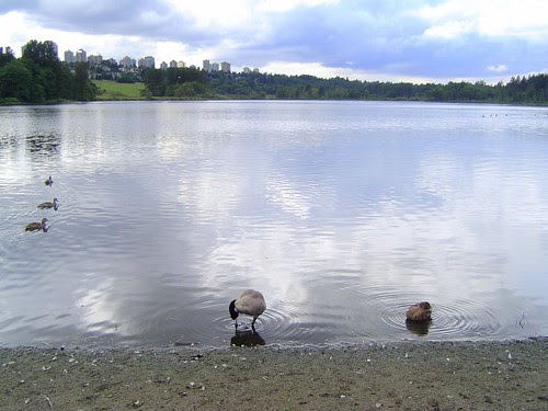 Deer Lake/無限台南