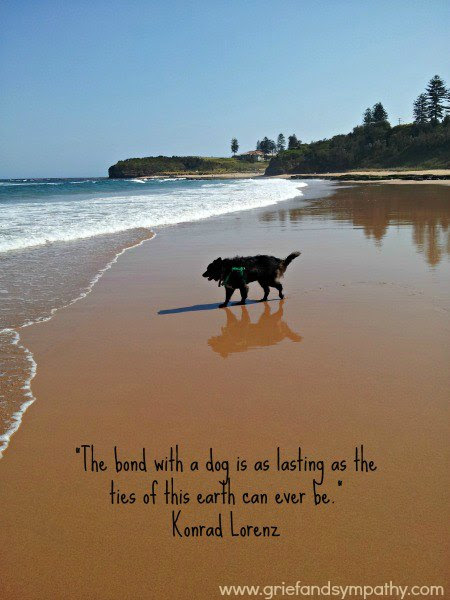 Death Of A Pet Quotes. QuotesGram Death Of A Pet Quotes. QuotesGram