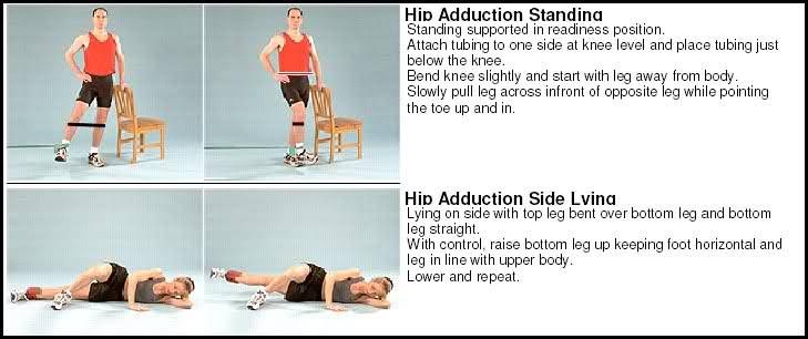 Abductor Muscle Exercises After Hip Replacement - Exercise Poster