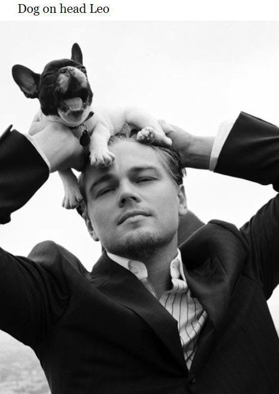 Celebrities Corner: Leo DiCaprio Shares His Awesomeness
