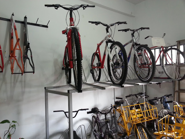 Avaliações sobre BD Bikes em Curitiba - Loja de bicicleta