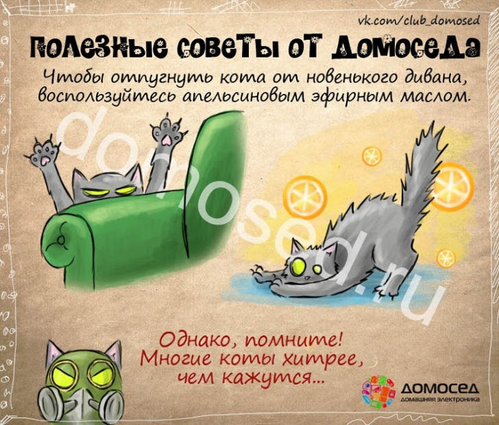 Полезные хозяйственные советы (часть 2) Полезные хозяйственные советы (часть 2)