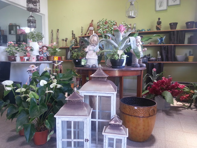 R. Alcídes Leite, 200 - São José, Aracaju - SE, 49015-420, Brasil