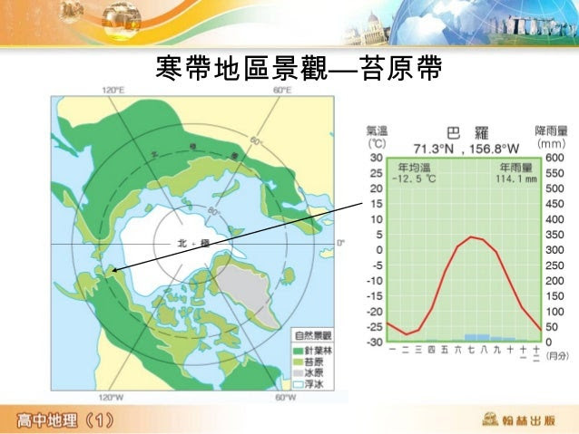 冰原的景觀
照片 15-17 南極
皇帝企鵝及幼鳥
。
照片 15-18 北極地區自然景觀帶。
北極狐
北極熊
雪兔
 