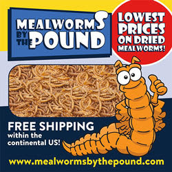 Happy Hen mealworms