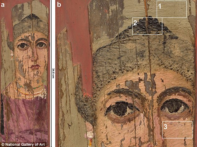 A fine painter's brush, or penicillus(1); a metal spoon              or hollowed spatula known as a cauterium(2); and an              engraver, known as a cestrum(3), were used to craft the              painting (left image), the new scans reveal