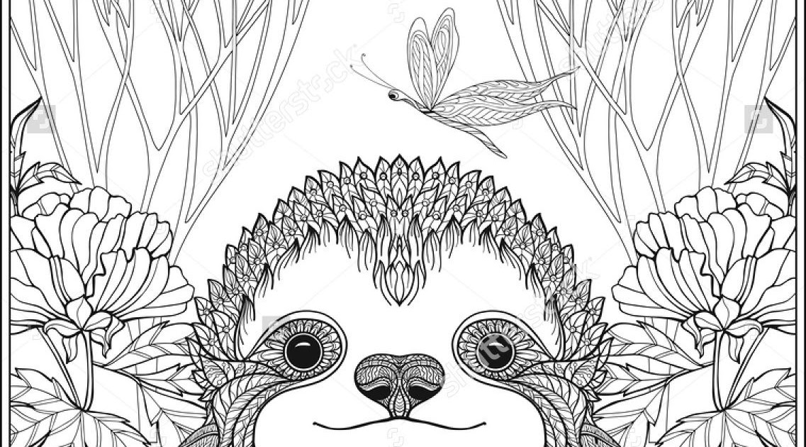 Cute Sloth Sloth Coloring Pages For Adults | aesthetic guides