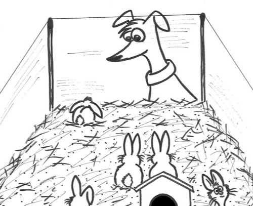 Comic-Whippet-unter-Hasen