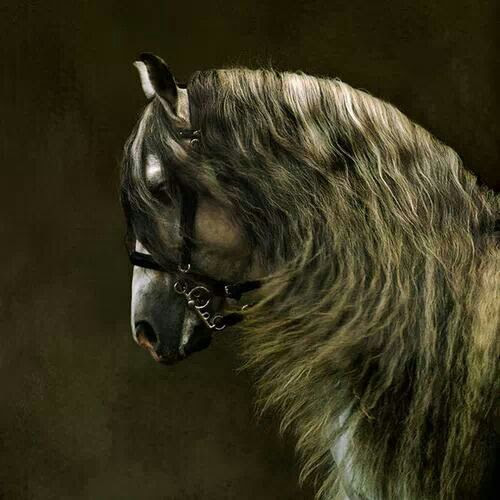 Silken tresses, a whisper of sound, a shaft of light. The surge of power....Joy at last.