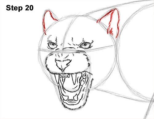 Black Panther Sketch Images Stock Photos Vectors Shutterstock