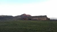 Free Image Hosting at www.ImageShack.us