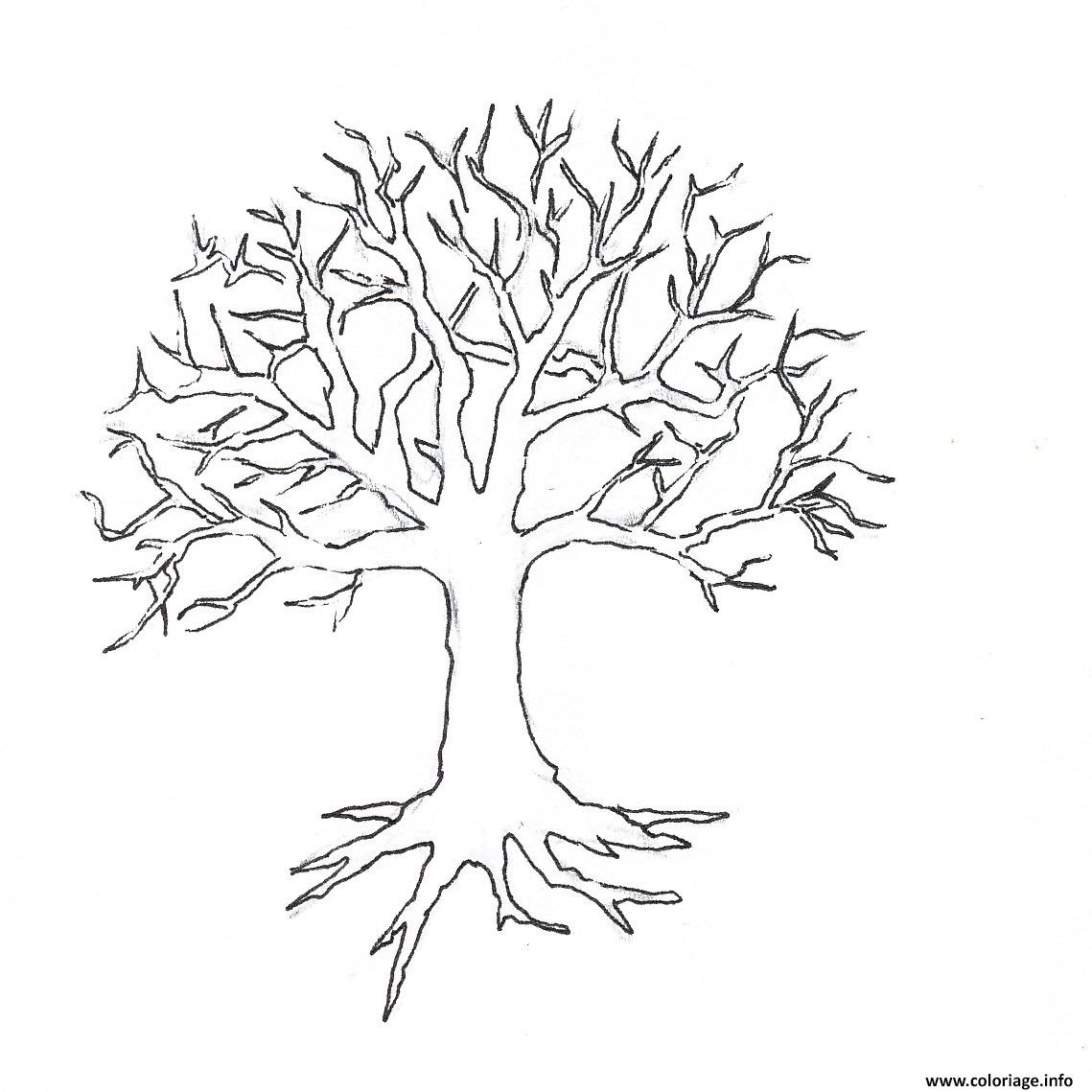 10 Coloriage Tronc D Arbre Imprimer | Imprimer et Obtenir ...