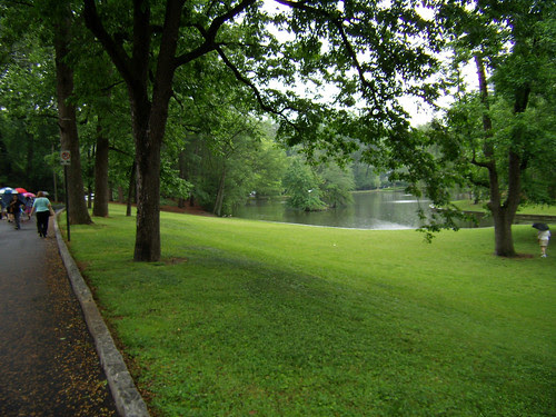 P5170115-Duck-Pond-Garden-The-Pond