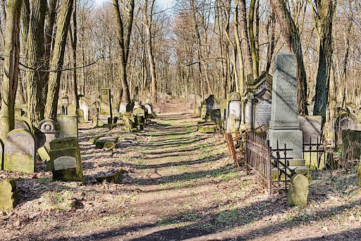 Jewish Cemetery Warsaw