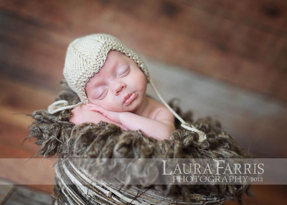 baby portraits boise idaho