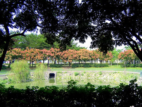 台糖購物中心後公園/無限台南