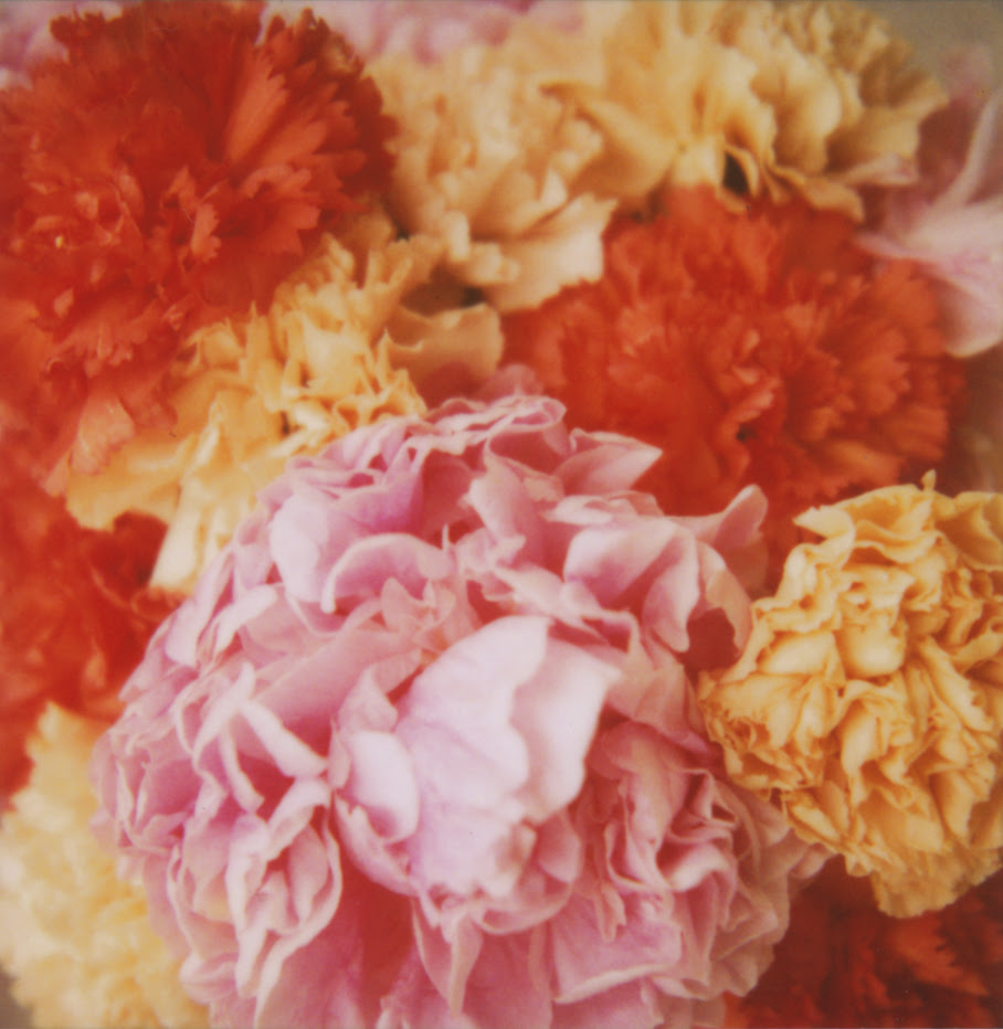 peonies_carnations