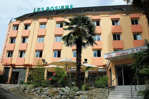 hôtels Hôtel Des Rosiers Lourdes