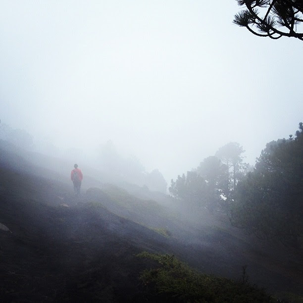 Misty, cloudy, wet. #acatenango #guatemala
