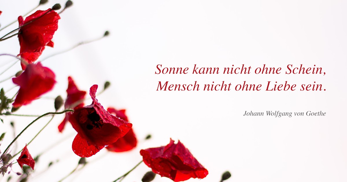 Hochzeitsglueckwuensche Hochzeitswuensche Zitate Zur Hochzeit