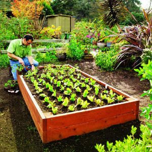 the perfect raised bed