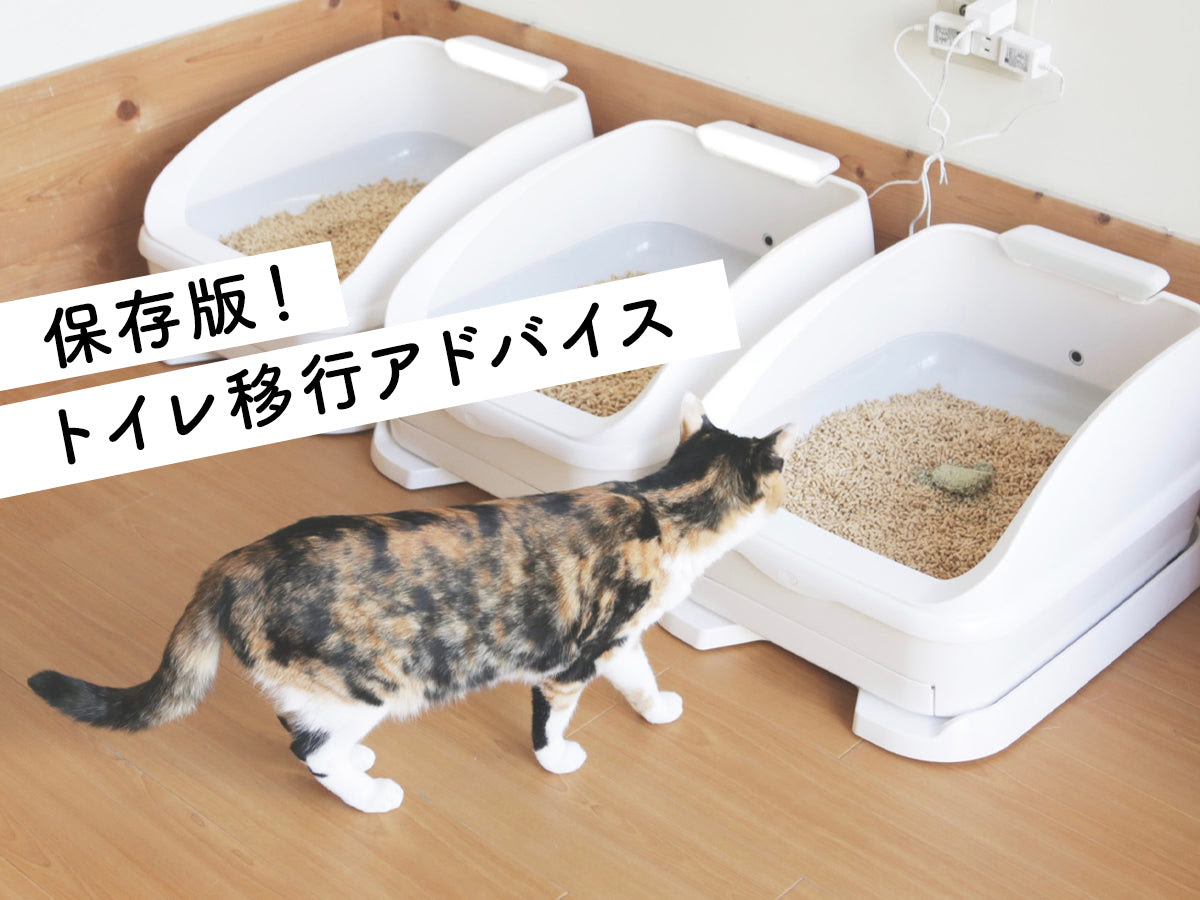 猫 トイレ で うんち しない