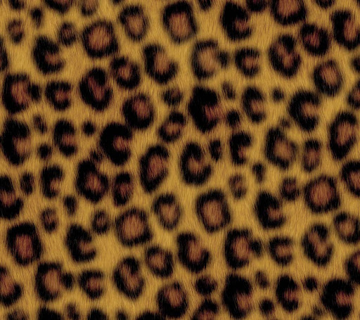Walljprrcv