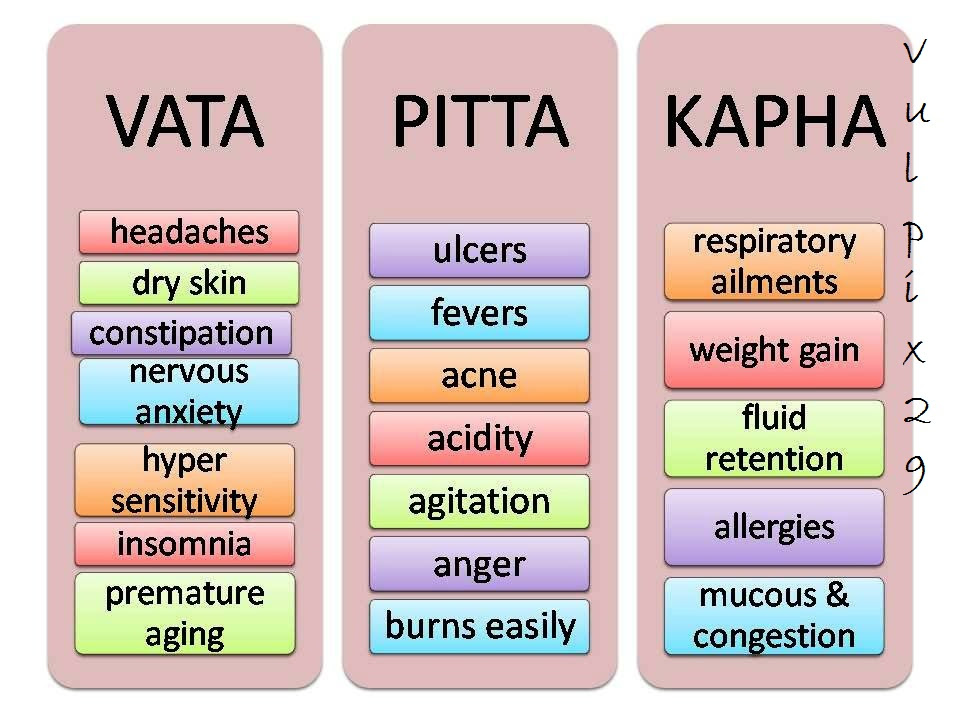 what-are-ayurvedic-diets-vata-pitta-and-kapha-diets-treatwiser