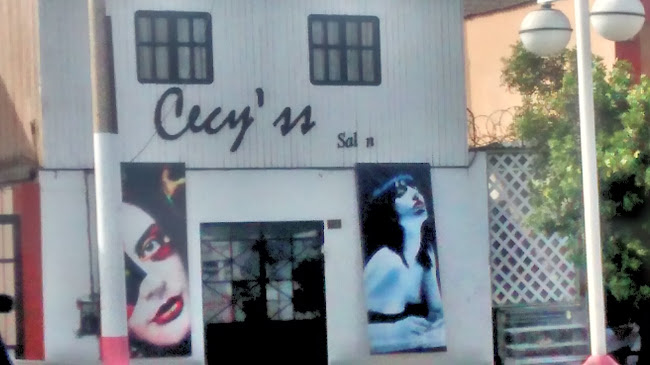 Opiniones de Cecy'ss Salón Spa en La Perla - Centro de estética