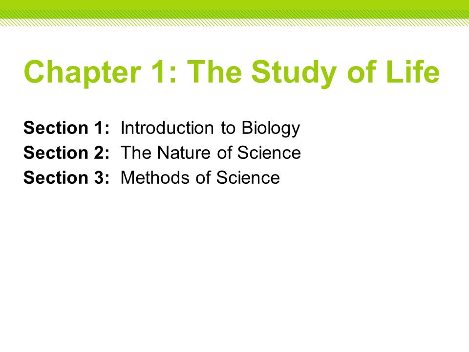 25 The Nature Of Science Worksheet Answers - Worksheet Information